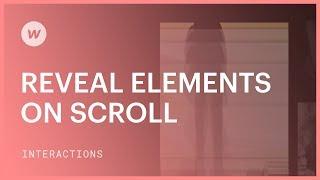 Reveal elements on scroll — Webflow interactions and animations tutorial