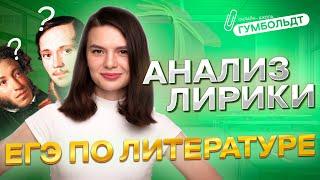 Решаем 8 задание ЕГЭ по литературе | Анализ лирики от "Гумбольдта"