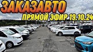 Алексей Борисов “Katana Cars” ПРЯМОЙ ЭФИР 19.10.24 #автоподбор #automobile #автомобили #автоэксперт