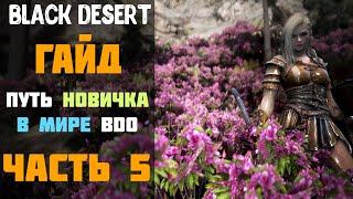 Гайд -  Фея/Книга Ченга! Путь новичка в Мире BDO в 2020 году! Часть №5! [Black Desert]