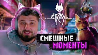 СМЕШНЫЕ МОМЕНТЫ С HARD PLAY - STRAY #1