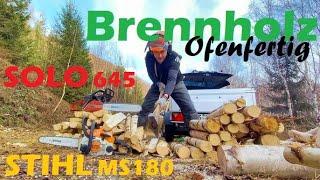 Heizkosten sparen  Brennholz selber machen im Harz STIHL MS 180 vs SOLO 645 🪓 Fällen Sägen Spalten