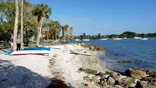 Experience Paradise In Sarasota, Florida!