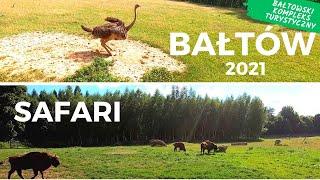 BAŁTÓW, SAFARI I PARK MINIATUR (ZAMKI W POLSCE) |BAŁTOWSKI KOMPLEKS TURYSTYCZNY |RobDriveVlog