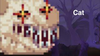 Trying to kill echdeath in terraria