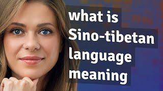 Sino-tibetan language | meaning of Sino-tibetan language