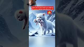 funny cat dance bili kuta cartoon meow billi dogi dogs billa aniya video #funny #cat #cats #cartoon