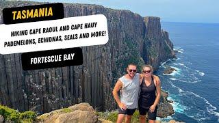 TASMANIA- FORTESCUE BAY. Cape Raoul, the longest hike we've done! Cape Hauy and plenty of wildlife