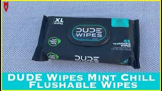 Dude Wipes Mint Chill Flushable Wipes || MumblesVideos Product Review