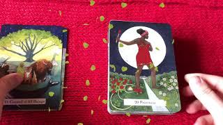 Обзор на колоду The Witches Wisdom Tarot -Таро мудрость ведьм