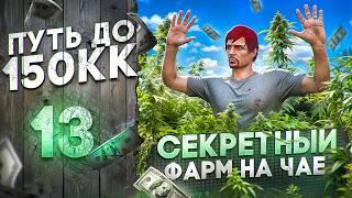 ТАЙНОЕ ВЫРАЩИВАНИЕ ЧАЯ - ДАЛИ ВЗЯТКУ, но СПАЛИЛА КРЫСА - ПУТЬ до 150КК #13 в GTA 5 RP \ MAJESTIC RP