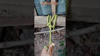 Great Knot in Our DailyLLife #knot #ropework #practical #ropetutorial