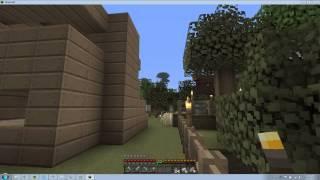 How To Remove The Lines Around Blocks And Items In Minecraft (AMD Users)