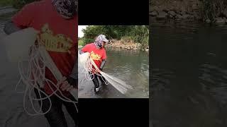 JALA IKAN DIPARIT KECIL DAPAT BABON #SHORTS #JALAIKAN