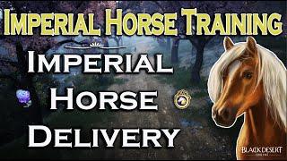 Imperial Training | Imperial Horse Delivery | BDO