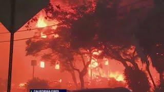 LA wildfires: Recovery efforts two months later