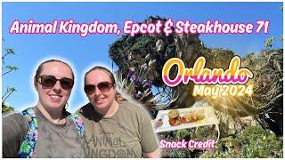 Early Entry Strategy Animal Kingdom, Epcot & Steakhouse 71