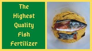 Fish Amino Acids Fertilizer - How To Make Fish Fertilizer in Korean Natural Farming Method - KNF FAA