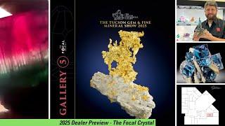 The Focal Crystal - Dealer Preview - Tucson Fine Mineral Gallery - 2025