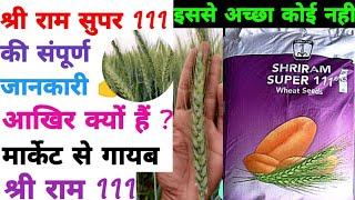 श्री राम सुपर 111 गेहूं की संपूर्ण जानकारी  SHRIRAM SUPER 111 मार्केट से क्यों हैं गायब #farming