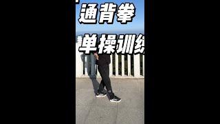 Chinese traditional martial arts Tongbei boxing training on the mountain #Zhao Honggang #Tongbei bo