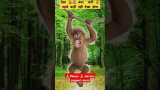 bander  funny joke #funnyvideos  #monkey #viral #video #funny #shorts