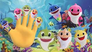 Colourful Baby Shark Finger Family Sing Along | Entertaining Nursery Rhyme for Kids