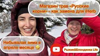 Апрельская зима в Москве  Магазин трав Русские корни как альтернатива iHerb 