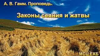 "Законы сеяния и жатвы". А. В. Гамм. МСЦ ЕХБ.