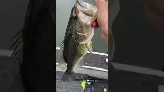 Nice bass on the mooch minnow!! @Rapala ￼