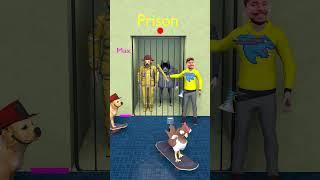 Cute Cat, Chicken or Cute Dog? Which Animal Can Rescue a fire Dog from Prison? #cat #dog #shorts