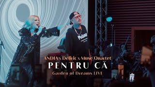 Andia x @deliricofficial x Muse Quartet - Pentru ca  (Live from Garden of Dreams)