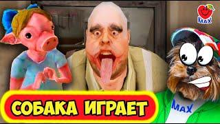 Мистер МИТ превратил ДОЧЬ в ПИГГИ! Обновление Мистер МИТ! СОБАКА ИГРАЕТ!(Mr Meat 1.9) Валеришка Макс