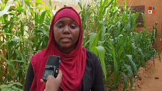 L'innovation au service du développement agricole au Niger