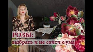 Как выбрать розы для сада и не сойти с ума! Группы, селекция, мода, советы по подбору.