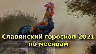 Славянский гороскоп 2021 по месяцам. Прогнозы на год Кричащего Петуха