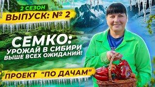  УРОЖАЙ, КОТОРОМУ ПОЗАВИДУЕТ СИБИРЬ! ОГОРОД В НОВОСИБИРСКЕ  | «ПО ДАЧАМ» | 2 сезон 2 серия