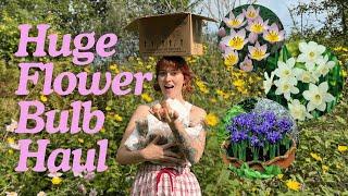 Massive Spring Bulbs Haul!  Unboxing 725 Flowering Bulbs for my Garden Transformation