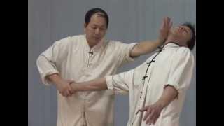 Tai Chi Chin Na (YMAA Qin Na) Dr. Yang, Jwing-Ming - Taijiquan joint locks