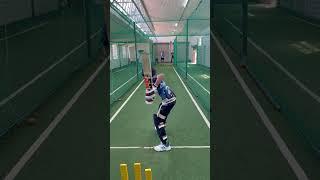  #cricket