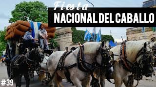  Fiesta Nacional del CABALLO en BRAGADO Provincia Buenos Aires ABRIENDOHUELLASXELMUNDO 