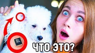 ЧТО ОНИ СДЕЛАЛИ!? ТБИ - 13 серия