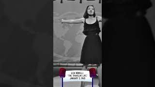 Liza Minnelli - The Travelin' Life