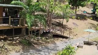 French side of St Martin - Loterie Farm Zipline