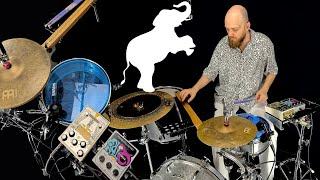 Arthur Dubois : THE ELEPHANT