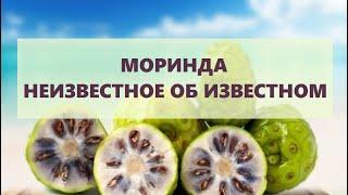 Моринда NSP: все что надо знать о моринде. Опыт применения. Обновление состава