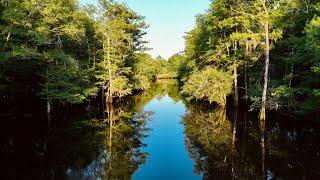 Tres Gobbleros Plantation: 903.6 +/- Acre Riverfront Plantation On the Black River