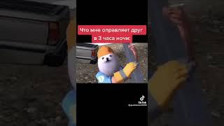 это примерно я отпровляю видео подруге если шо вот обзор на янин дом стас и мишка это название