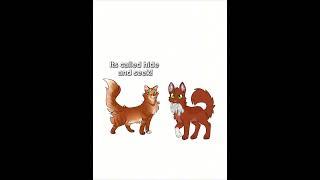 Firestar: Off camera //ib: @Appl3F4ng // #cat #warriors #warriorcatmemes