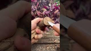Would you use this? #art #woodworking #woodcarving #satisfying #satisfying #diy